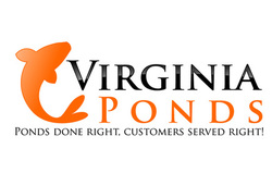 Pond Maintenance & Services Contractor 