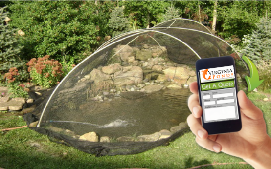 Fall Pond Netting & Maintenance Services Contractor