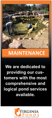 Spring & Summer Pond & Water feature Maintenance Services 